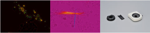 15603292461560329246055_07d113f5a562b84a9ec5.png